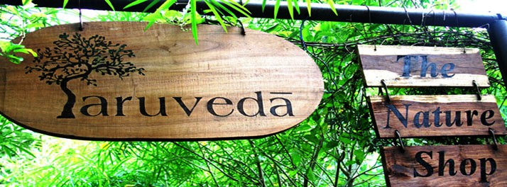 728/The Tree House & Water House Resort - Jaipur 10.jpg